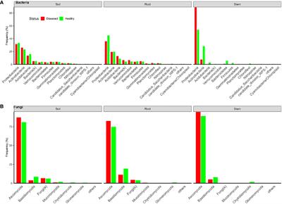 Amplicon sequencing identified a putative pathogen, Macrophomina phaseolina, causing wilt in African eggplant (Solanum aethiopicum) grown in Tanzania and Uganda